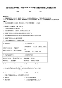 四川省宜宾市翠屏区二片区2023-2024学年九上化学期末复习检测模拟试题含答案