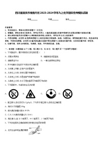 四川省宜宾市观音片区2023-2024学年九上化学期末统考模拟试题含答案