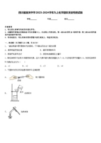 四川省宜宾中学2023-2024学年九上化学期末质量检测试题含答案