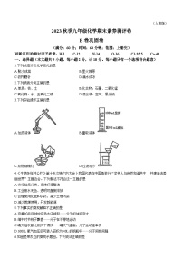 陕西省咸阳市乾县阳峪初中2023-2024学年九年级上学期+期末化学试题