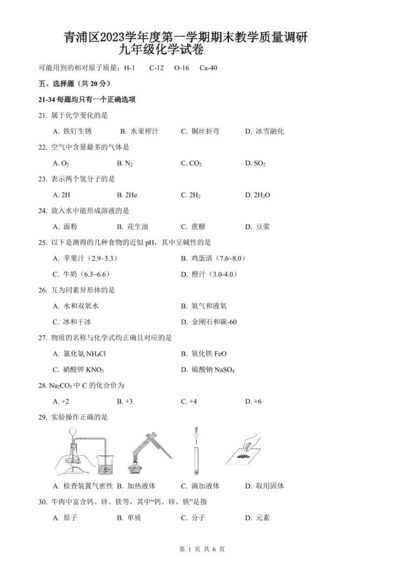 2024年上海市青浦区中考化学一模试卷含答案01