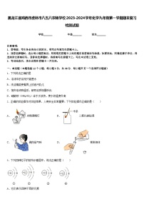 黑龙江省鸡西市虎林市八五八农场学校2023-2024学年化学九年级第一学期期末复习检测试题含答案