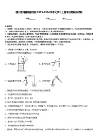 四川省成都高新东区2023-2024学年化学九上期末经典模拟试题含答案