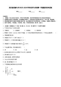 四川省成都七中2023-2024学年化学九年级第一学期期末统考试题含答案