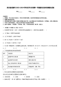 四川省成都市2023-2024学年化学九年级第一学期期末达标检测模拟试题含答案