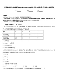 四川省成都市成都高新实验中学2023-2024学年化学九年级第一学期期末预测试题含答案