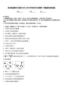 四川省成都市大邑县2023-2024学年化学九年级第一学期期末预测试题含答案