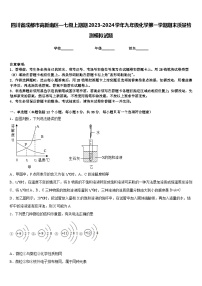 四川省成都市高新南区—七级上期期2023-2024学年九年级化学第一学期期末质量检测模拟试题含答案