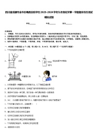 四川省成都市金牛区蜀西实验学校2023-2024学年九年级化学第一学期期末综合测试模拟试题含答案