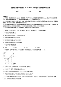 四川省成都市金堂县2023-2024学年化学九上期末考试试题含答案