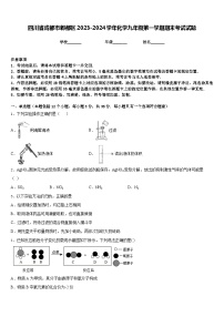 四川省成都市郫都区2023-2024学年化学九年级第一学期期末考试试题含答案