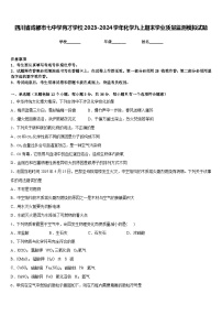 四川省成都市七中学育才学校2023-2024学年化学九上期末学业质量监测模拟试题含答案