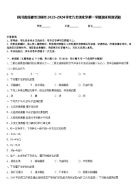 四川省成都市邛崃市2023-2024学年九年级化学第一学期期末检测试题含答案