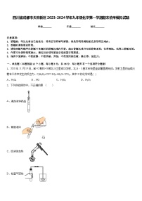 四川省成都市天府新区2023-2024学年九年级化学第一学期期末统考模拟试题含答案