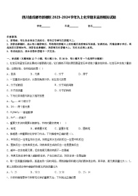 四川省成都市新都区2023-2024学年九上化学期末监测模拟试题含答案