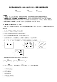 四川省成都树德中学2023-2024学年九上化学期末监测模拟试题含答案