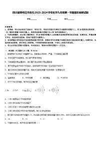 四川省攀枝花市名校2023-2024学年化学九年级第一学期期末调研试题含答案