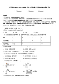 四川省渠县2023-2024学年化学九年级第一学期期末联考模拟试题含答案