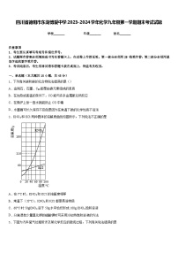 四川省德阳市东湖博爱中学2023-2024学年化学九年级第一学期期末考试试题含答案