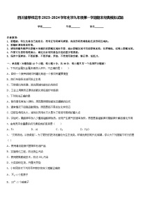 四川省攀枝花市2023-2024学年化学九年级第一学期期末经典模拟试题含答案