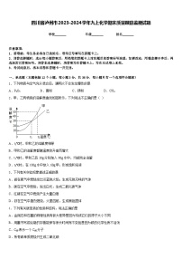 四川省泸州市2023-2024学年九上化学期末质量跟踪监视试题含答案