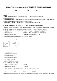 四川省广元市名校2023-2024学年九年级化学第一学期期末调研模拟试题含答案