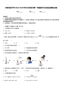 大理市重点中学2023-2024学年九年级化学第一学期期末学业质量监测模拟试题含答案