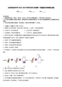 大同市重点中学2023-2024学年化学九年级第一学期期末统考模拟试题含答案