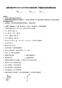 固原市重点中学2023-2024学年九年级化学第一学期期末质量检测模拟试题含答案