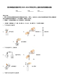 四川绵阳富乐园际学校2023-2024学年化学九上期末质量检测模拟试题含答案