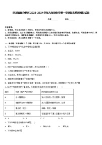 四川省部分地区2023-2024学年九年级化学第一学期期末检测模拟试题含答案