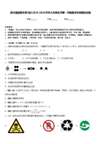 四川省简阳市养马区2023-2024学年九年级化学第一学期期末检测模拟试题含答案