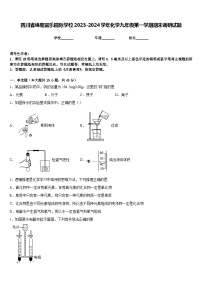 四川省绵阳富乐园际学校2023-2024学年化学九年级第一学期期末调研试题含答案