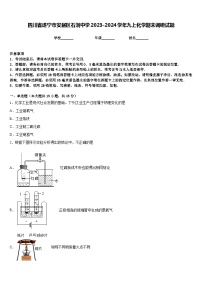 四川省遂宁市安居区石洞中学2023-2024学年九上化学期末调研试题含答案