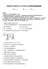 四川省遂宁市大英县2023-2024学年九上化学期末质量跟踪监视试题含答案