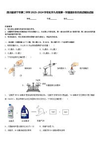 四川省遂宁市第二中学2023-2024学年化学九年级第一学期期末综合测试模拟试题含答案