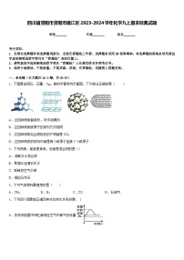 四川省资阳市资阳市雁江区2023-2024学年化学九上期末经典试题含答案