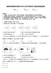 安徽合肥市蜀山区文博中学2023-2024学年化学九上期末达标测试试题含答案