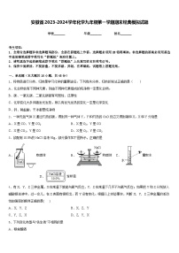 安徽省2023-2024学年化学九年级第一学期期末经典模拟试题含答案