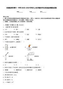 安徽宿州市第十一中学2023-2024学年九上化学期末学业质量监测模拟试题含答案