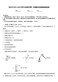 安庆市2023-2024学年九年级化学第一学期期末质量跟踪监视试题含答案