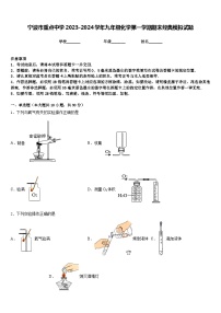 宁波市重点中学2023-2024学年九年级化学第一学期期末经典模拟试题含答案