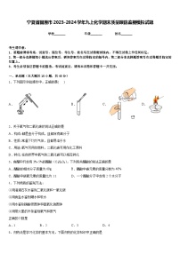 宁夏省固原市2023-2024学年九上化学期末质量跟踪监视模拟试题含答案