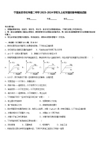 宁夏吴忠市红寺堡二中学2023-2024学年九上化学期末联考模拟试题含答案