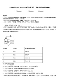 宁夏中卫市名校2023-2024学年化学九上期末达标检测模拟试题含答案