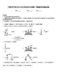 宁夏中学宁县2023-2024学年化学九年级第一学期期末统考模拟试题含答案