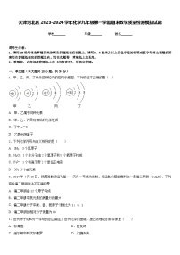 天津河北区2023-2024学年化学九年级第一学期期末教学质量检测模拟试题含答案