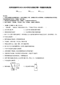 天津市滨湖中学2023-2024学年九年级化学第一学期期末经典试题含答案