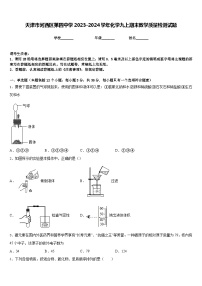 天津市河西区第四中学2023-2024学年化学九上期末教学质量检测试题含答案