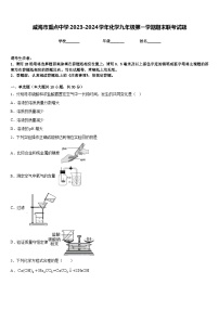 威海市重点中学2023-2024学年化学九年级第一学期期末联考试题含答案